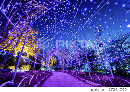 あしかがフラワーパークのイルミネーション　光の花の庭　栃木県足利市 97264796