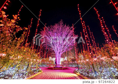 あしかがフラワーパークのイルミネーション　光の花の庭　栃木県足利市 97264822