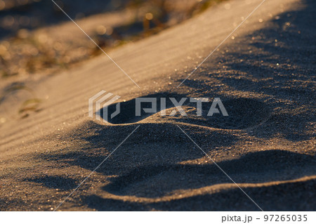 風紋 砂浜 風紋 砂浜 97265035