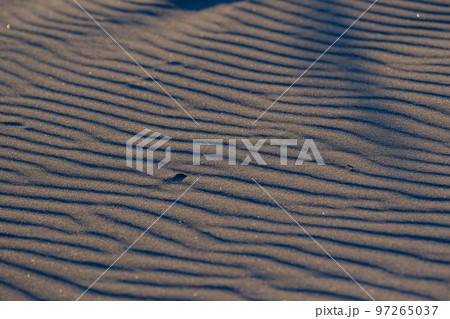 風紋 砂浜 風紋 砂浜 97265037