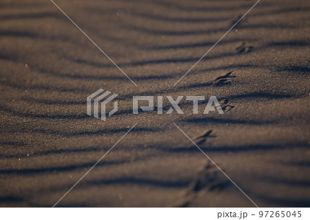 風紋 砂浜 風紋 砂浜 97265045