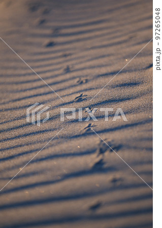 風紋 砂浜 風紋 砂浜 97265048