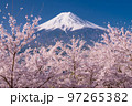 《山梨県》富士山と満開の桜・春の新倉山浅間公園 97265382