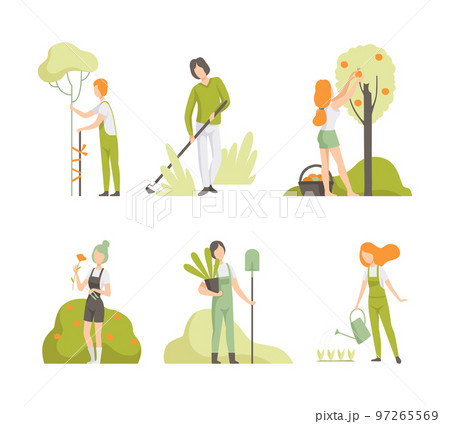 Man and Woman Working in the Garden or Farming Engaged in Horticulture Vector Set 97265569