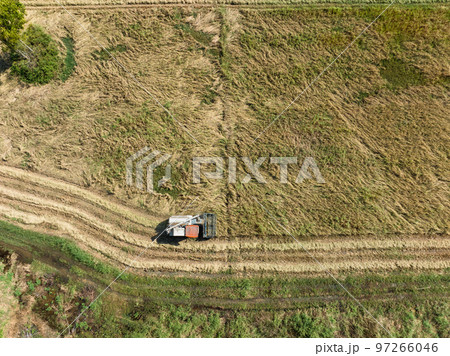 Combine harvesters are working rice in the field , aerial view ,Thailand. 97266046