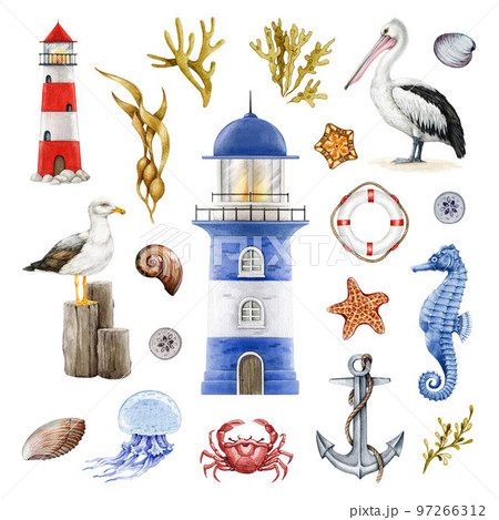 Seashore coast elements set. Watercolor illustration. Hand drawn lighthouse, anchor, pelican, gull, seaweed, crab, lifebuoy element collection. Marine vintage style nautical set. White background 97266312