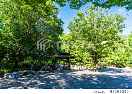 美しい新緑・光芒を背景に観光名所:武蔵塚公園(宮本武蔵)公園風景 美しい新緑・光芒を背景に観光名所:武蔵塚公園(宮本武蔵)公園風景 97268039