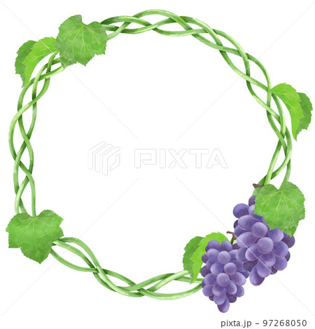 ブドウをモチーフとした装飾素材 97268050