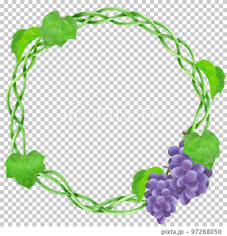 ブドウをモチーフとした装飾素材 97268050