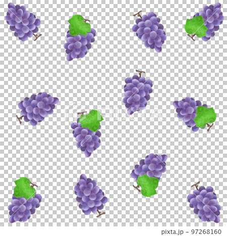 Delicious grape seamless pattern material Delicious grape seamless pattern material 97268160