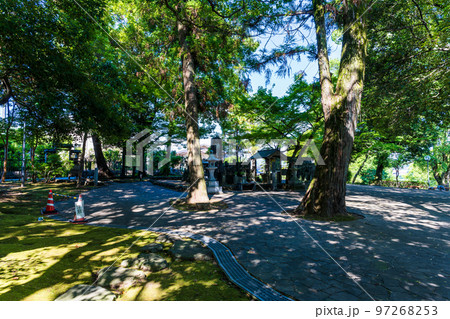 美しい新緑・光芒を背景に観光名所：武蔵塚公園(宮本武蔵)公園風景 97268253