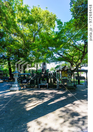 美しい新緑・光芒を背景に観光名所：武蔵塚公園(宮本武蔵)公園風景 97268448