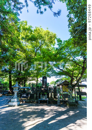 美しい新緑・光芒を背景に観光名所：武蔵塚公園(宮本武蔵)公園風景 97268449