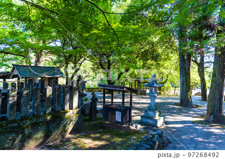 美しい新緑・光芒を背景に観光名所:武蔵塚公園(宮本武蔵)公園風景 美しい新緑・光芒を背景に観光名所:武蔵塚公園(宮本武蔵)公園風景 97268492