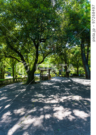 美しい新緑・光芒を背景に観光名所：武蔵塚公園(宮本武蔵)公園風景 97268497