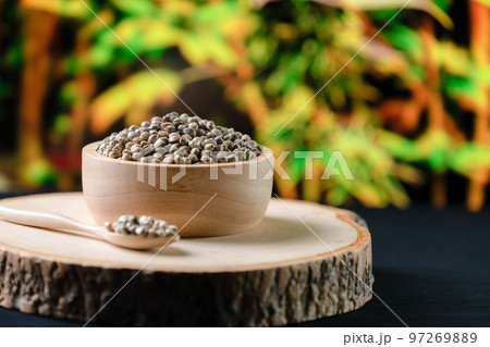 Legalized cannabis concept for medical and healthcare purpose shown by hemp seed Legalized cannabis concept for medical and healthcare purpose shown by hemp seed 97269889