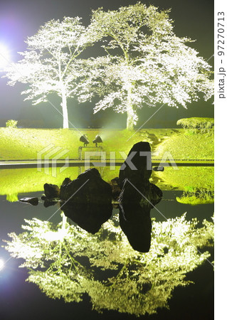 桜のライトアップとリフレクション（大分県臼杵市） 97270713