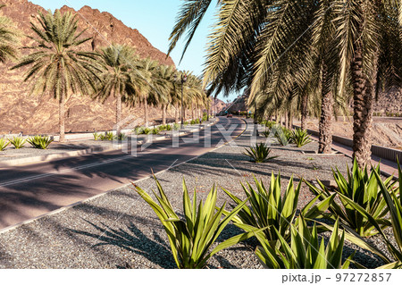 Al Alam Sultan Palace in Muscat, Oman. Arabian Peninsula. Al Alam Sultan Palace in Muscat, Oman. Arabian Peninsula. 97272857