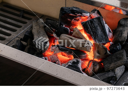 炭　charcoal 97273643