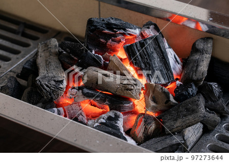 炭　charcoal 97273644