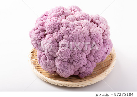 紫カリフラワー 紫カリフラワー 97275184