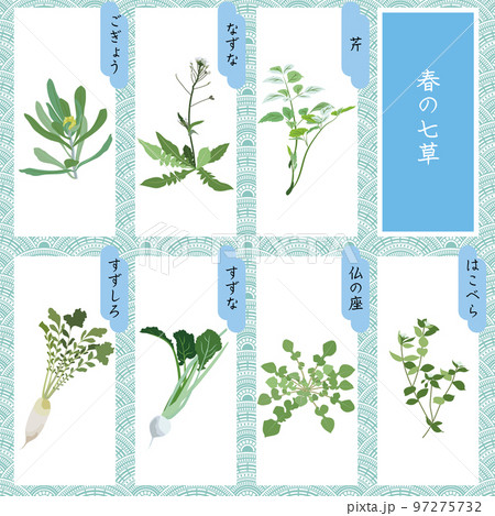 春の七草イラストセット①七草 新春 春の七草イラストセット①七草 新春 97275732