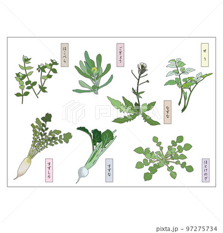 春の七草イラストセット②新春 七草 春の七草イラストセット②新春 七草 97275734