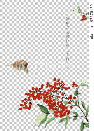 水彩で描いた寒中お見舞い テンプレート 文字あり 白バック透過背景 水彩で描いた寒中お見舞い テンプレート 文字あり 白バック透過背景 97276180