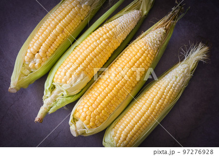Corn on the cob, Sweet corn for cooking food, Fresh corn on dark background, Harvest ripe corn organic Corn on the cob, Sweet corn for cooking food, Fresh corn on dark background, Harvest ripe corn organic 97276928
