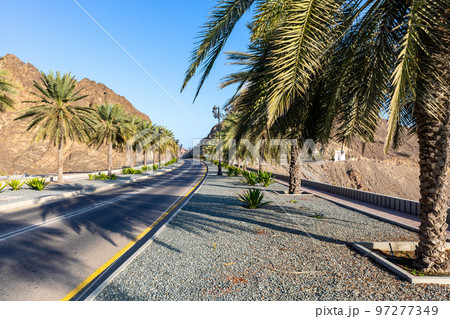 Road with palm trees. Traditional Omani architecture. Old Town of Muscat, Oman. Arabian Peninsula.  97277349