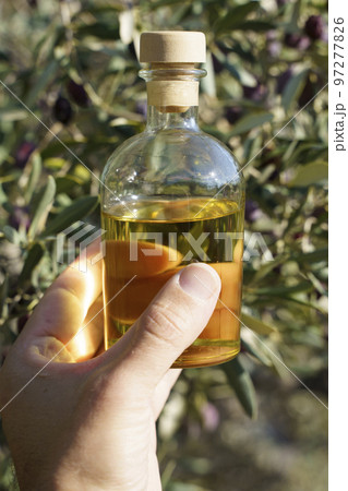 Olive oil with olive tree branch background. Natural oil for food or cosmetics from natural ingredients. Healthy food, cosmetics concept. Olive oil with olive tree branch background. Natural oil for food or cosmetics from natural ingredients. Healthy food, cosmetics concept. 97277826
