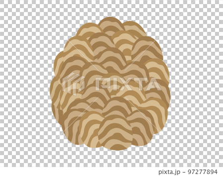 スズメバチの巣のイラスト 97277894