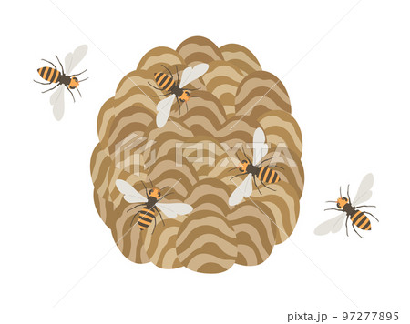スズメバチと蜂の巣のイラストのイラスト素材 [97277895] - PIXTA