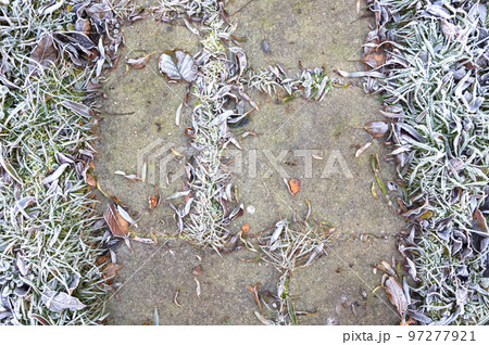 Frost on old fallen leafs 97277921