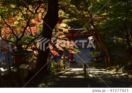 奈良の紅葉　談山神社の紅葉 97277925
