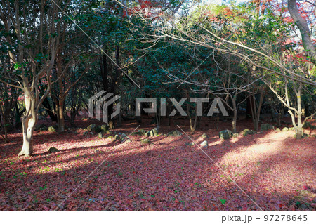 遍路道の落葉　紅葉 97278645