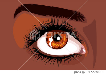 Brown female eye with long eyelashes Brown female eye with long eyelashes 97278698