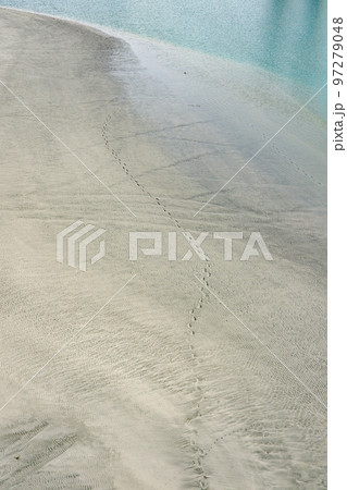 海辺の足跡　潮騒橋から遠州灘に面した国安海岸（静岡県掛川市） 97279048