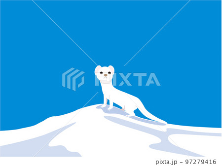 イイズナ02 イイズナ02 97279416