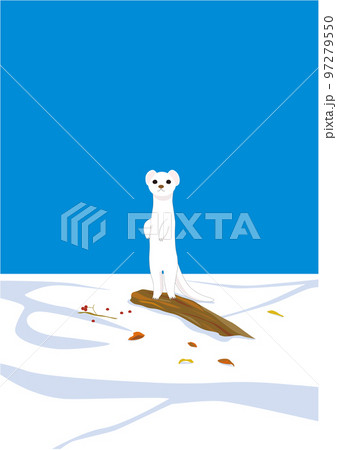 イイズナ04 97279550