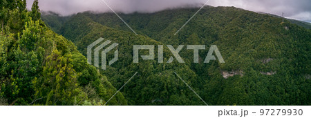 Rainforest wide panorama in La Palma island 97279930