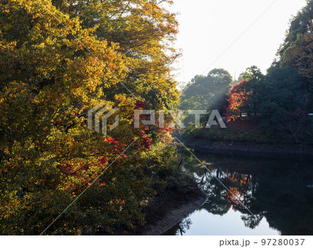 信貴山の湖畔の紅葉 信貴山の湖畔の紅葉 97280037