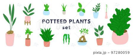 Potted plants set. Home indoor green decor. Different succulents, cacti, foliage. 97280059