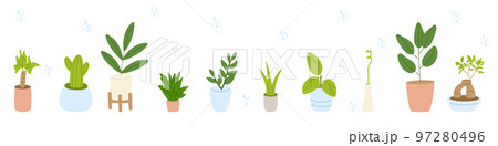 Pot plant set. Natural houseplant collection. Flat vector illustration 97280496