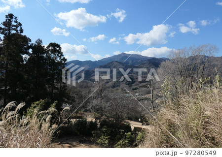 七沢森林公園 七沢森林公園 97280549