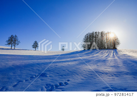 【北海道美瑛町】青空と太陽とマイルドセブンの丘 【北海道美瑛町】青空と太陽とマイルドセブンの丘 97281417