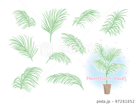 組み合わせができる観葉植物の葉素材 97281852