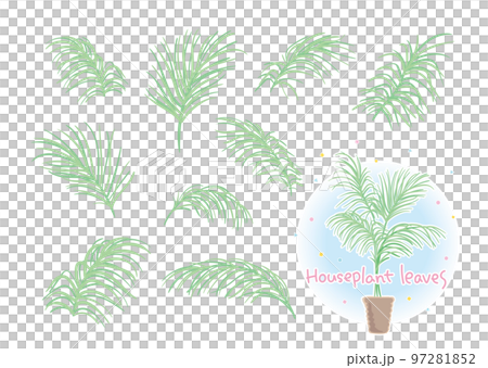 Leaf materials of foliage plants that can be combined 97281852