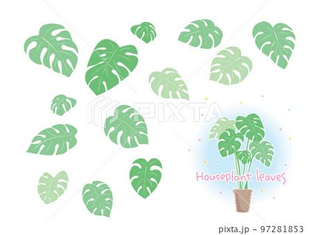 組み合わせができる観葉植物の葉素材 97281853