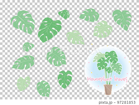組み合わせができる観葉植物の葉素材 97281853